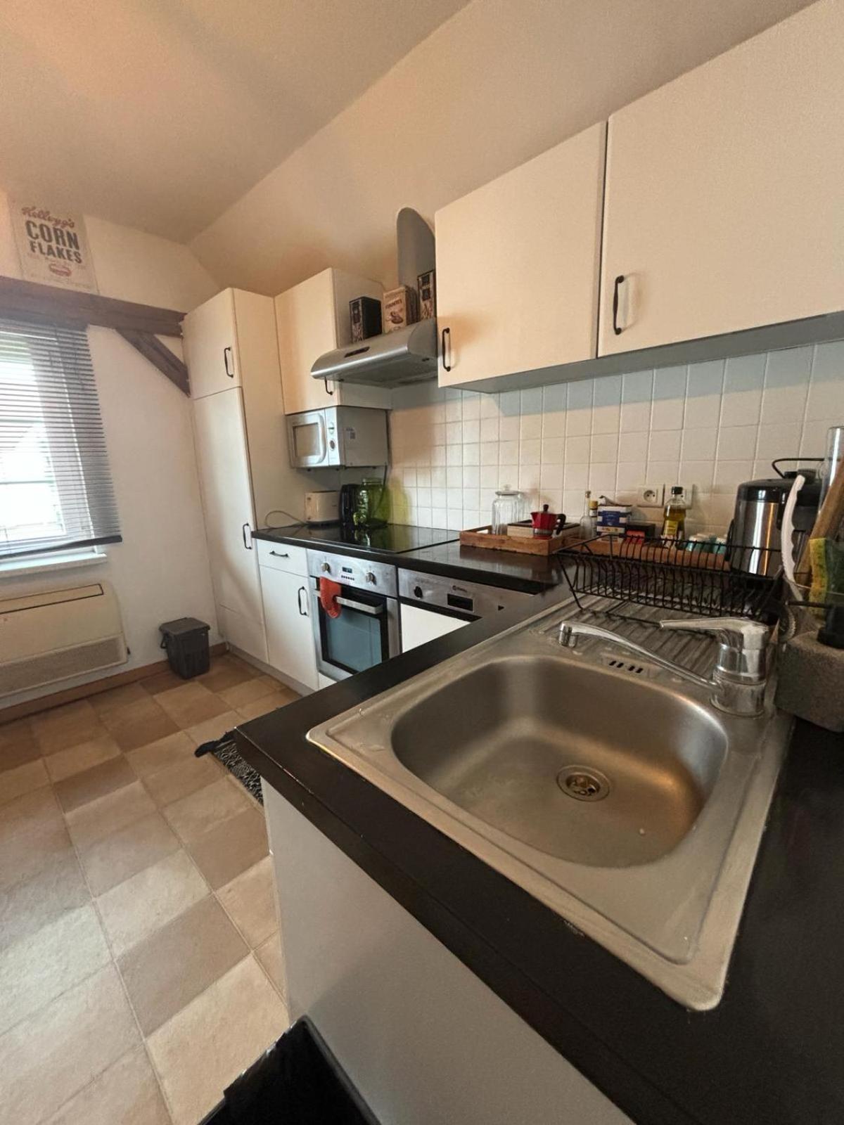 Charmant Appartement Proche Strasbourg A Eckwersheim المظهر الخارجي الصورة