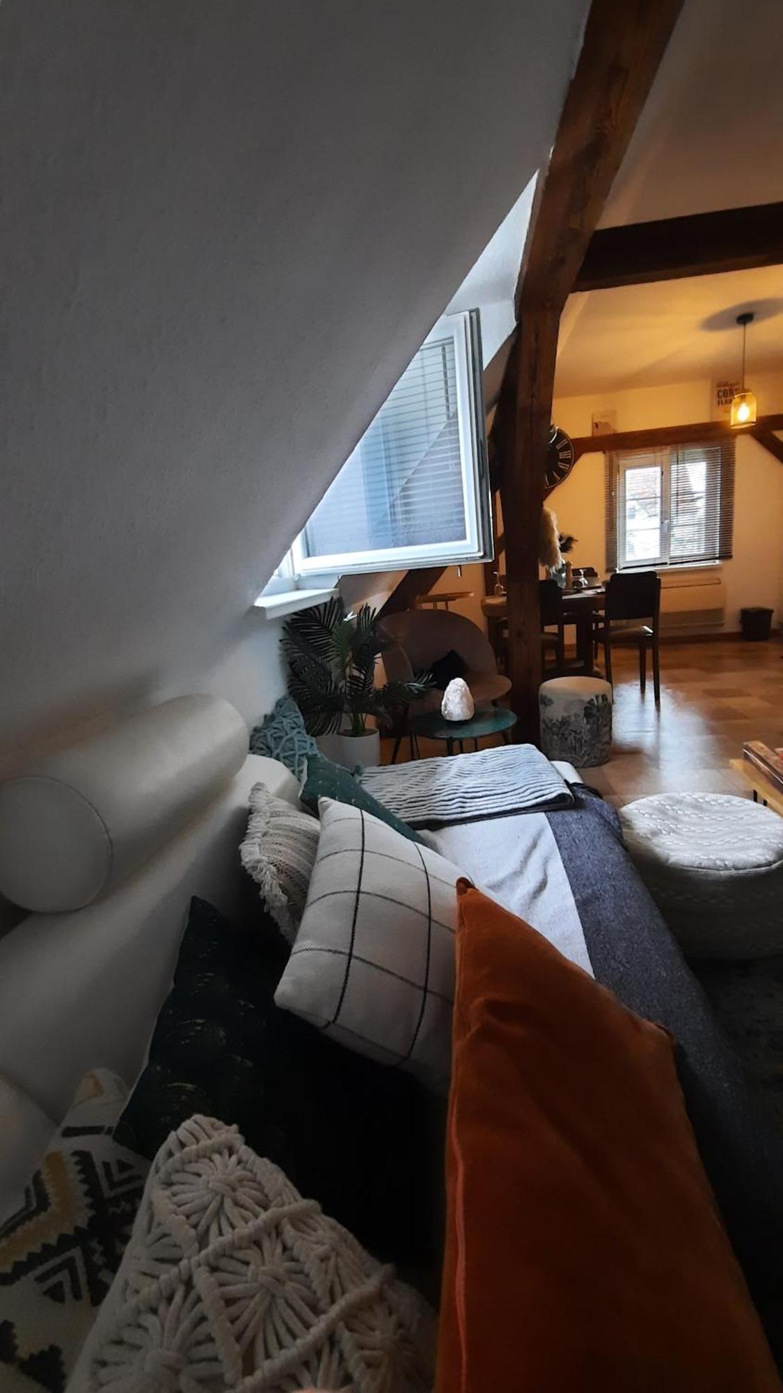 Charmant Appartement Proche Strasbourg A Eckwersheim المظهر الخارجي الصورة