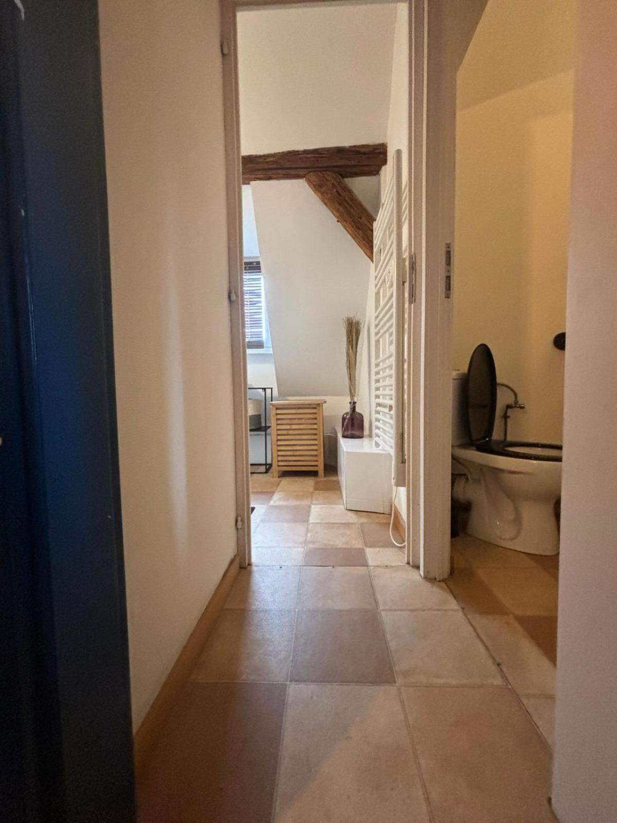 Charmant Appartement Proche Strasbourg A Eckwersheim المظهر الخارجي الصورة