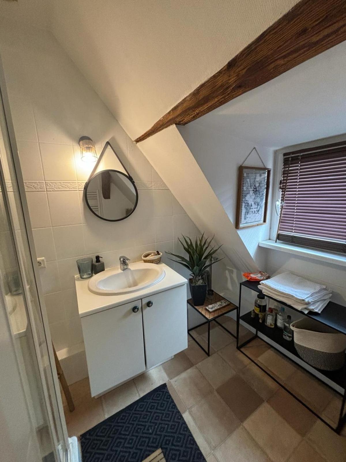 Charmant Appartement Proche Strasbourg A Eckwersheim المظهر الخارجي الصورة